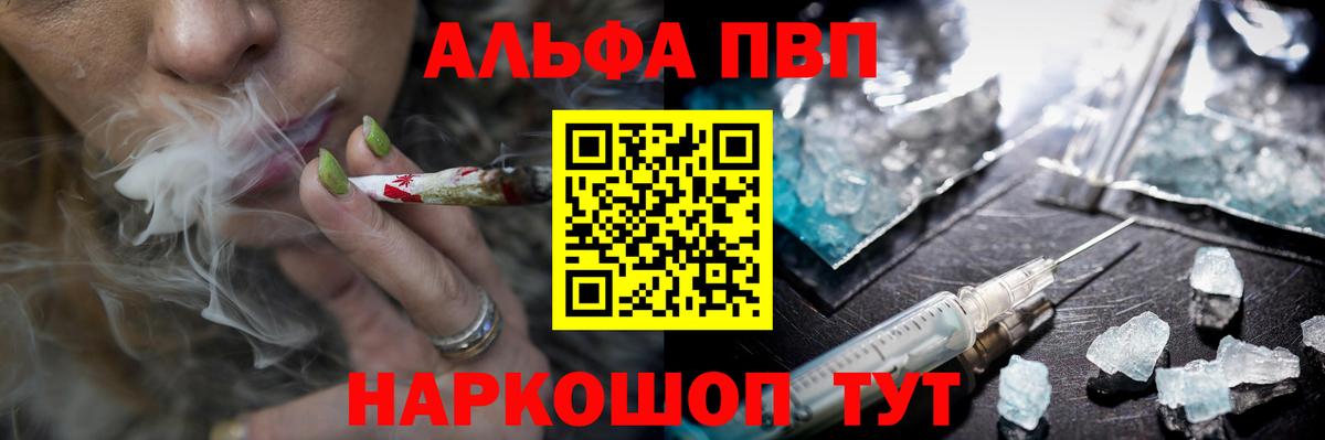 Alfa_PVP СК Дубна