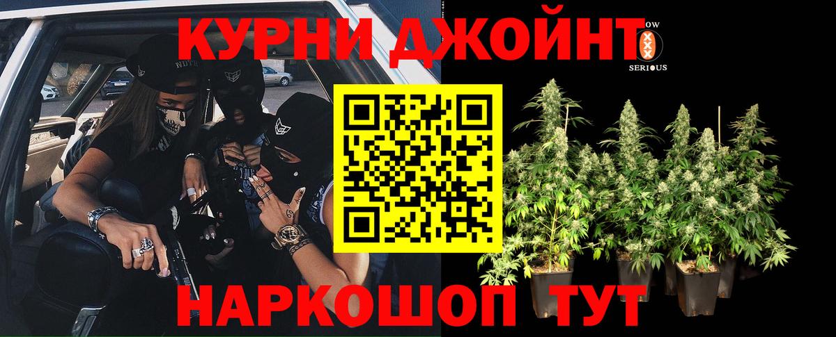 Дубна  Каннабис план  МАРИХУАНА OG Kush  Вход с VPN  МАРИХУАНА OG Kush  Бошки Шишки индика 